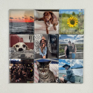 Life Magnetized Imported Image 1761229540 300x300